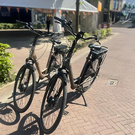 Huize Wees Nobel In Het Centrum Oud Beijerland Dicht Bij Rotterdam 4* Oud-Beijerland