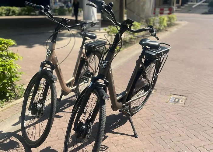 Huize Wees Nobel In Het Centrum Oud Beijerland Dicht Bij Rotterdam 4* Oud-Beijerland