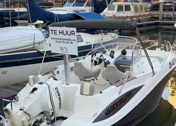 Huize Wees Nobel In Het Centrum Oud Beijerland Dicht Bij Rotterdam Bed and breakfast Oud-Beijerland