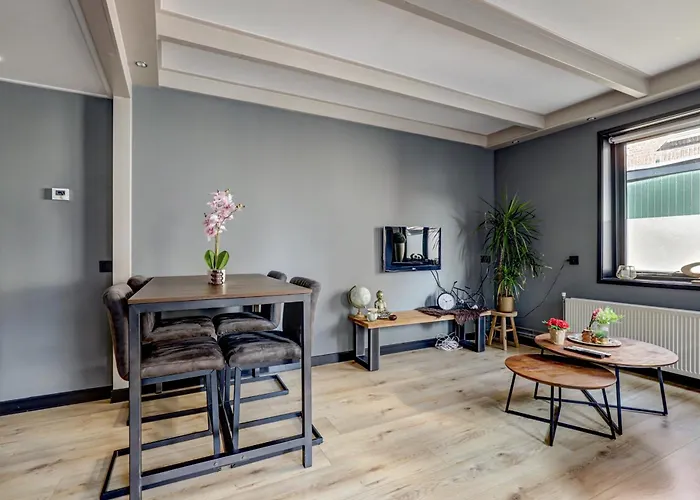 Huize Wees Nobel In Het Centrum Oud Beijerland Dicht Bij Rotterdam 4*